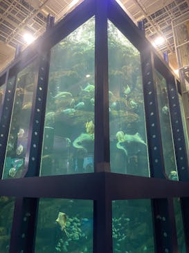 城崎マリンワールドに投稿された画像（2025/8/12）