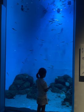 城崎マリンワールドに投稿された画像（2025/8/12）