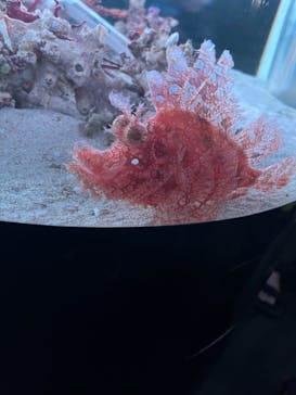 マクセル アクアパーク品川に投稿された画像（2025/8/12）