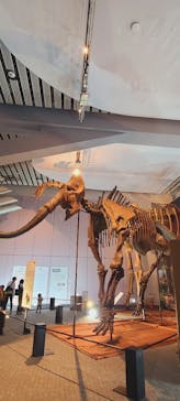 巨大恐竜展2025に投稿された画像（2025/8/12）