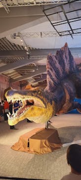 巨大恐竜展2025に投稿された画像（2025/8/12）