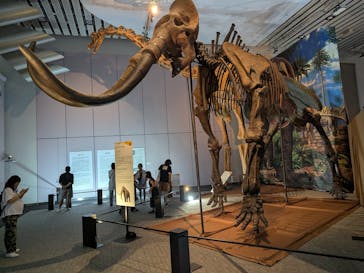 巨大恐竜展2025に投稿された画像（2025/8/12）