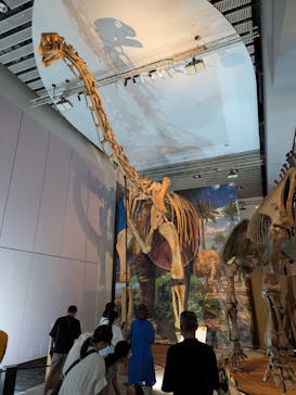 巨大恐竜展2025に投稿された画像（2025/8/12）
