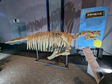 巨大恐竜展2025に投稿された画像（2025/8/12）