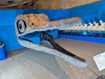 巨大恐竜展2025に投稿された画像（2025/8/12）