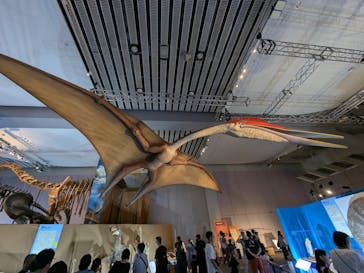 巨大恐竜展2025に投稿された画像（2025/8/12）