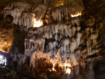 CAVE OKINAWAに投稿された画像（2025/8/12）