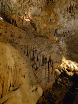 CAVE OKINAWAに投稿された画像（2025/8/12）