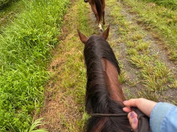 ホワイトサドルに投稿された画像（2025/8/12）