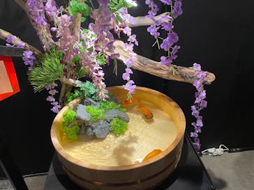 錦鯉・金魚アクアリウム in ときメッセに投稿された画像（2025/8/12）