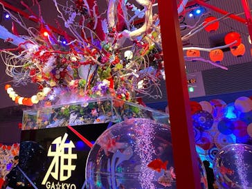 錦鯉・金魚アクアリウム in ときメッセに投稿された画像（2025/8/12）