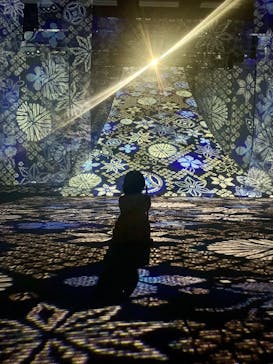 旅する光の切り絵展 ～くうそうって、まほうだよ～に投稿された画像（2025/8/12）