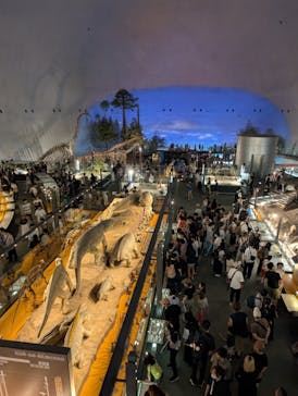 福井県立恐竜博物館に投稿された画像（2025/8/12）