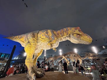 福井県立恐竜博物館に投稿された画像（2025/8/12）