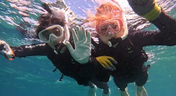 武藤潜水に投稿された画像（2025/8/12）