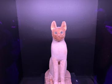 ACN ラムセス大王展 ファラオたちの黄金に投稿された画像（2025/8/12）