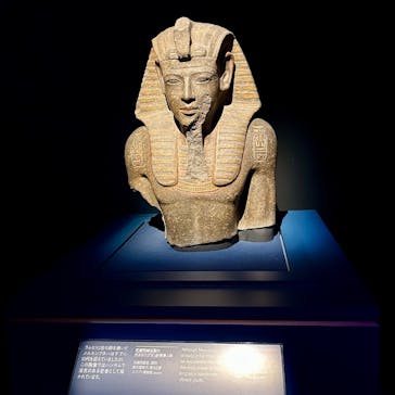 ACN ラムセス大王展 ファラオたちの黄金に投稿された画像（2025/8/12）