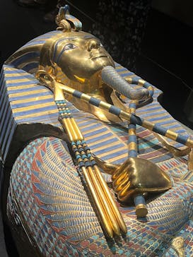 MYSTERY OF TUTANKHAMEN 体感型古代エジプト展に投稿された画像（2025/8/12）