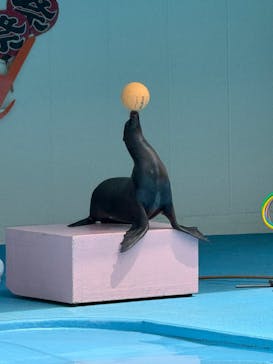 南知多ビーチランド＆南知多おもちゃ王国に投稿された画像（2025/8/12）