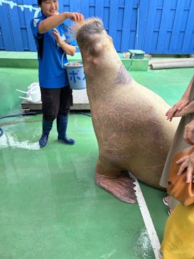 ゼロ距離水族館 伊勢シーパラダイスに投稿された画像（2025/8/12）