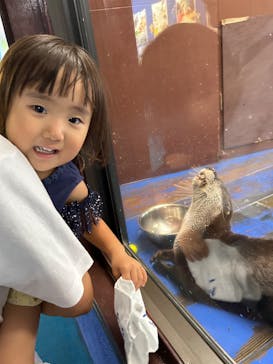 ゼロ距離水族館 伊勢シーパラダイスに投稿された画像（2025/8/12）