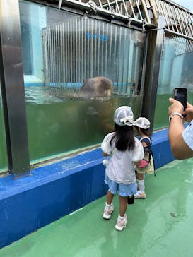 ゼロ距離水族館 伊勢シーパラダイスに投稿された画像（2025/8/12）