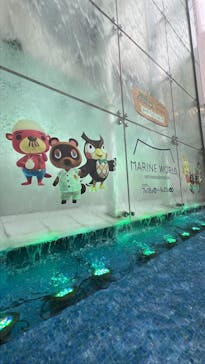 マリンワールド海の中道に投稿された画像（2025/8/12）