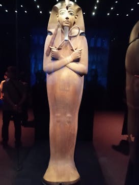 ACN ラムセス大王展 ファラオたちの黄金に投稿された画像（2025/8/12）