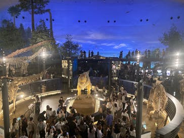 福井県立恐竜博物館に投稿された画像（2025/8/12）