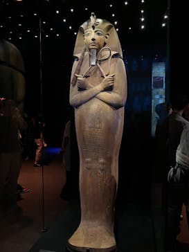 ACN ラムセス大王展 ファラオたちの黄金に投稿された画像（2025/8/12）