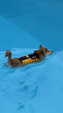 わんダフルネイチャーヴィレッジに投稿された画像（2025/8/12）