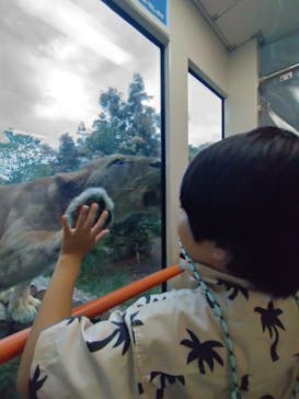 東京動物園協会_多摩動物公園に投稿された画像（2025/8/12）