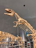 福井県立恐竜博物館に投稿された画像（2025/8/12）