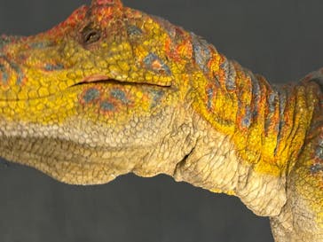 福井県立恐竜博物館に投稿された画像（2025/8/12）