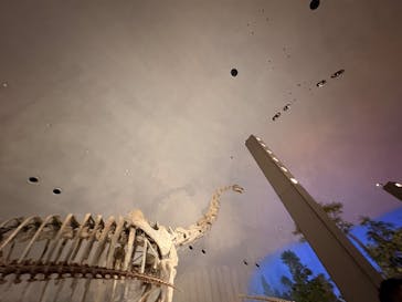 福井県立恐竜博物館に投稿された画像（2025/8/12）