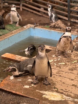ゼロ距離水族館 伊勢シーパラダイスに投稿された画像（2025/8/12）