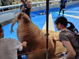 大分マリーンパレス水族館 「うみたまご」に投稿された画像（2025/8/12）