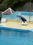 下田海中水族館に投稿された画像（2025/8/12）