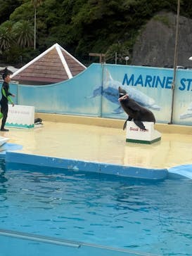 下田海中水族館に投稿された画像（2025/8/12）