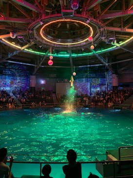 マクセル アクアパーク品川に投稿された画像（2025/8/12）