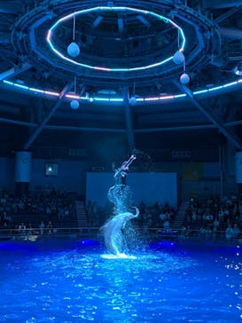 マクセル アクアパーク品川に投稿された画像（2025/8/12）