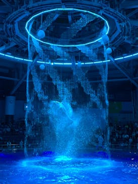 マクセル アクアパーク品川に投稿された画像（2025/8/12）