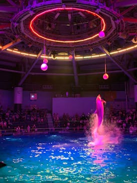 マクセル アクアパーク品川に投稿された画像（2025/8/12）