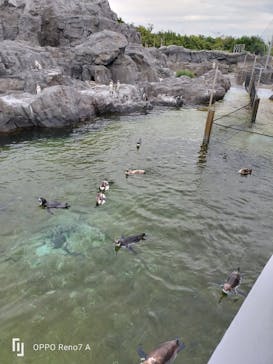 葛西臨海水族園に投稿された画像（2025/8/12）