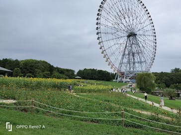 葛西臨海水族園に投稿された画像（2025/8/12）