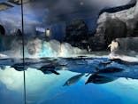 名古屋港水族館に投稿された画像（2025/8/12）