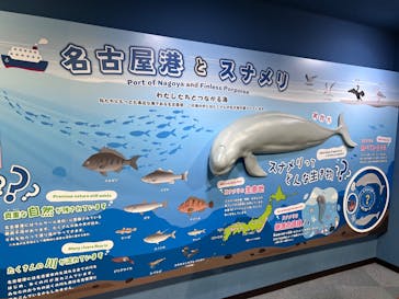 名古屋港水族館に投稿された画像（2025/8/12）