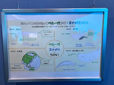 名古屋港水族館に投稿された画像（2025/8/12）