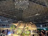 京都 大恐竜博 ～動く！吠える！暴れる！大迫力の巨大恐竜がやってくる～に投稿された画像（2025/8/12）