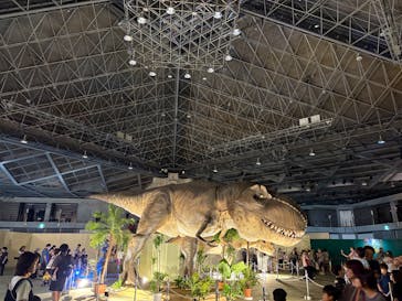 京都 大恐竜博 ～動く！吠える！暴れる！大迫力の巨大恐竜がやってくる～に投稿された画像（2025/8/12）